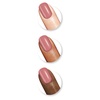 image:imageSally Hansen Miracle Gel Get Mod and Shiny Top Coat Duo Long Lasting GelLike Formula No UV Lamp Needed Nail Polish Duo244 Mauveolous  101 Shiny Top Coat