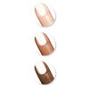 image:imageSally Hansen Color Therapy High Gloss Top Coat  Argan Oil Long Lasting Healthy Nails Nail Strengthener Clear Nail PolishWell  Well  Well