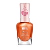 293 Zest Intentions (citrus spritz)