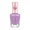 385 Pamper Me Purple​