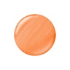image:imageSally Hansen InstaDri Hersheys Cookies n Creme Eggs Nail Polish  Quick Dry Long Lasting StreakFree Shine  Opaque Glossy  784 Tulip Temptation  Soft Green Yellow Nail Color164 Peach Melba