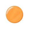 image:imageSally Hansen InstaDri Hersheys Cookies n Creme Eggs Nail Polish  Quick Dry Long Lasting StreakFree Shine  Opaque Glossy  784 Tulip Temptation  Soft Green Yellow Nail Color770 Orange you GLAAD
