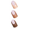 image:imageSally Hansen Xtreme Wear Nail Polish  StreakFree Shiny Finish LongLasting ChipResistant Opaque  Free Spirit  Dark Orange Nail Color136 Rainbow Rave