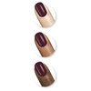image:imageSally Hansen Xtreme Wear Nail Polish  StreakFree Shiny Finish LongLasting ChipResistant Opaque  Free Spirit  Dark Orange Nail Color584 Con la remolacha
