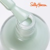image:imageSally Hansen Miracle Gel Salon Quality Nail Polish  GelLike Formula TwoStep System No UV Light Needed Long Lasting  Opaque  388 A Hot Minute  Burnt Orange Nail Color902 Under the Sea