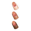 image:imageSally Hansen Miracle Gel Salon Quality Nail Polish  GelLike Formula TwoStep System No UV Light Needed Long Lasting  Opaque  388 A Hot Minute  Burnt Orange Nail Color382 Sundown Socialite