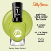 image:imageSally Hansen Miracle Gel Salon Quality Nail Polish  GelLike Formula TwoStep System No UV Light Needed Long Lasting  Opaque  388 A Hot Minute  Burnt Orange Nail Color764 Cactus Makes Perfect
