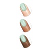 image:imageSally Hansen Miracle Gel Salon Quality Nail Polish  GelLike Formula TwoStep System No UV Light Needed Long Lasting  Opaque  388 A Hot Minute  Burnt Orange Nail Color684 Lookin Fly for a Cacti