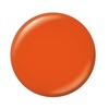 image:imageSally Hansen Miracle Gel Salon Quality Nail Polish  GelLike Formula TwoStep System No UV Light Needed Long Lasting  Opaque  388 A Hot Minute  Burnt Orange Nail Color922 Colour Instinct