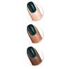 image:imageSally Hansen Miracle Gel Salon Quality Nail Polish  GelLike Formula TwoStep System No UV Light Needed Long Lasting  Opaque  388 A Hot Minute  Burnt Orange Nail Color676 Jealous Boyfriend