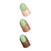 image:imageSally Hansen Miracle Gel Salon Quality Nail Polish  GelLike Formula TwoStep System No UV Light Needed Long Lasting  Opaque  388 A Hot Minute  Burnt Orange Nail Color685 Live for the MoMINT