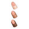 image:imageSally Hansen Miracle Gel Salon Quality Nail Polish  GelLike Formula TwoStep System No UV Light Needed Long Lasting  Opaque  388 A Hot Minute  Burnt Orange Nail Color51 Peach Please Neon