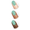 image:imageSally Hansen Miracle Gel Salon Quality Nail Polish  GelLike Formula TwoStep System No UV Light Needed Long Lasting  Sheer Shimmery  211 One Shell of a Party  Nude Pink Nail Polish754 Prince CharMint