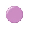 image:imageSally Hansen Miracle Gel Salon Quality Nail Polish  GelLike Formula TwoStep System No UV Light Needed Long Lasting  Shimmery  532 Affairy To Remember  Purple with hints of Blue Nail Polish580 Unstoppurple