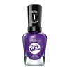 579/570 Purplexed
