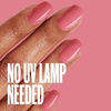 image:imageSally Hansen Miracle Gel Nail Polish Shade Onyxpected 849 with Shiny Top Coat and Matte Top Coat Trio