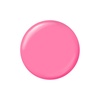 image:imageSally Hansen Miracle Gel x Jared McCain Point Guard Pink Long Lasting GelLike Formula No UV Lamp Needed PInk Nail PolishParty of Hue