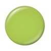 image:imageSally Hansen Miracle Gel Hue Had to Be There Toadally Buggin Long Lasting GelLike Formula No UV Lamp Needed Green Nail Polish
